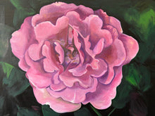 Load image into Gallery viewer, Wall Art Rose Oil Painting Large Flower Title: "Angel Face Rose" Wall Decor Original on Canvas Ready to Hang
