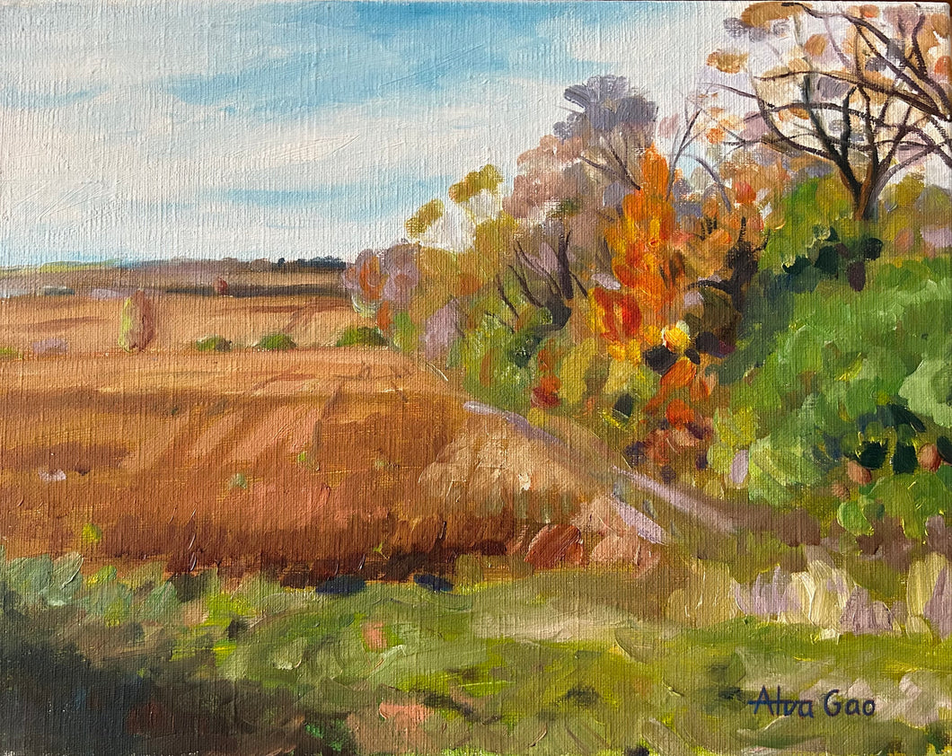 Landscape Oil Painting Autumn Wall Decor Original Wall Art on Linen Canvas Ready to Hang Free Shipping Ontario Canada York Region