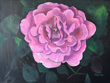 Load image into Gallery viewer, Wall Art Rose Oil Painting Large Flower Title: "Angel Face Rose" Wall Decor Original on Canvas Ready to Hang
