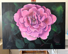 Load image into Gallery viewer, Wall Art Rose Oil Painting Large Flower Title: "Angel Face Rose" Wall Decor Original on Canvas Ready to Hang
