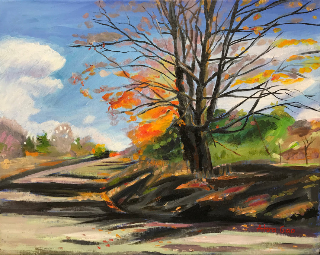 Autumn Tree in Stouffville Park, Ontario, Canada. Print